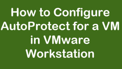 auto protect vmware workstation